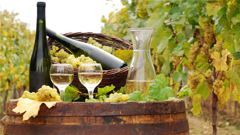 InBuyer Wine & Spirits 2025 (focus bio - session 2)