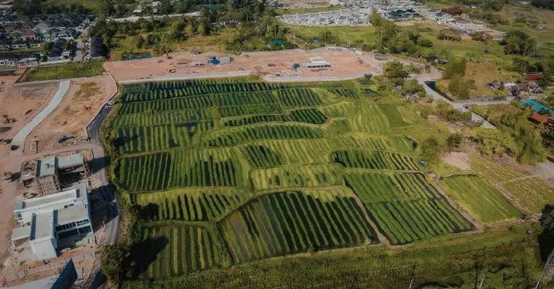 Evento Cremona Zona Logistica Semplificata